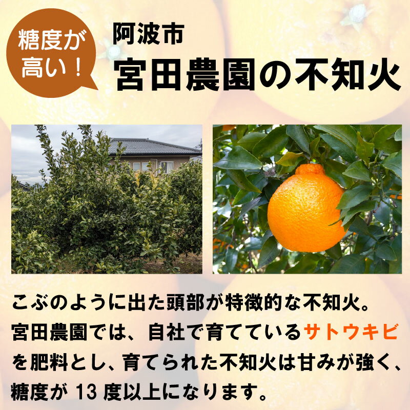 【ふるさと納税】 しらぬい 不知火 3kg 家庭用 9～10個入り みかん デコポン 柑橘 サイズ不揃い 果物 フルーツ 柑橘 徳島県 阿波市 宮田農園 サムネイル3
