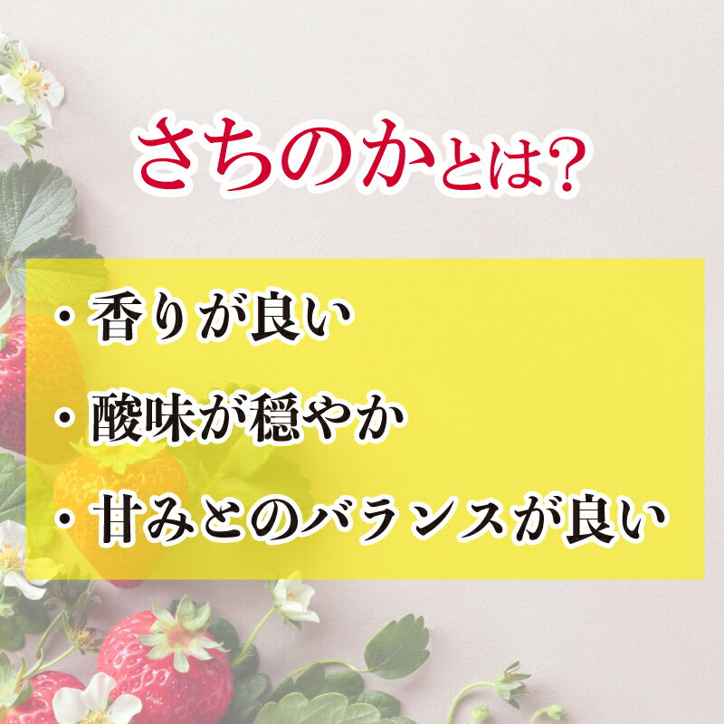 【ふるさと納税】 いちご 苺 500g 1kg S~2L サイズ混合 不揃い さちのか ジャム スイーツ ケーキ 果物 フルーツ デザート お菓子 ジャム アイス シャーベット スムージー ヨーグルト クレープ タルト チョコ 大福 フルーツサンド 阿波市産 徳島県 四国 サムネイル2