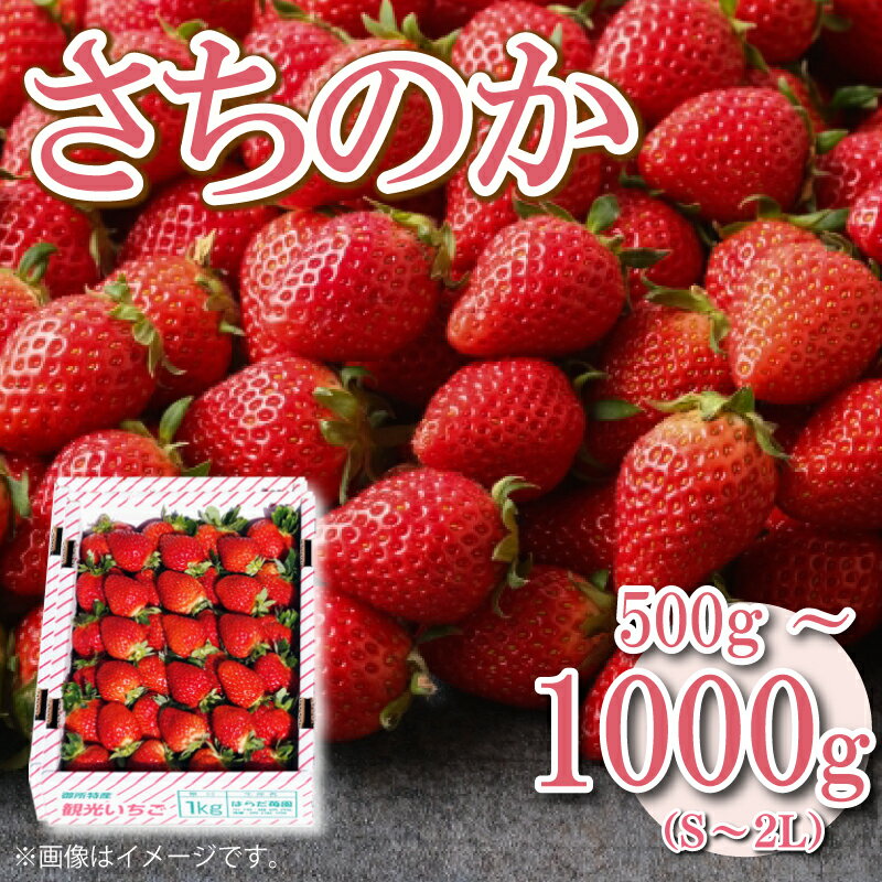 いちご 苺 500g 1kg S~2L サイズ混合 不揃い さちのか ジャム スイーツ ケーキ 果物 フルーツ デザート お菓子 ジャム アイス シャーベット スムージー ヨーグルト クレープ タルト チョコ 大福 フルーツサンド 阿波市産 徳島県 四国