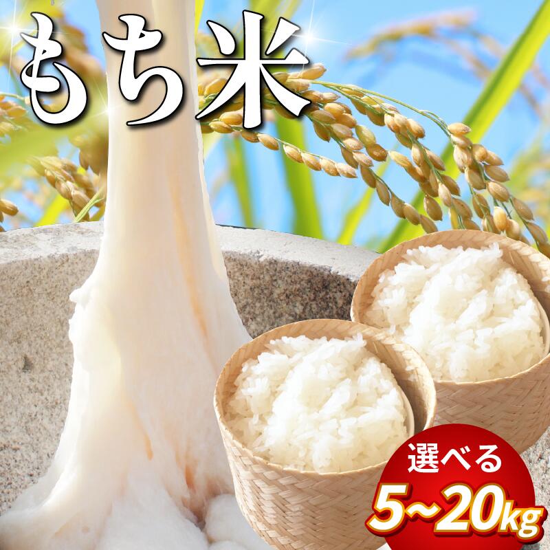 米 もち米 5kg 10kg 20kg 新米 令和7年産 餅 赤飯 おはぎ 5キロ 10キロ 20キロ お米5kg コメ 備蓄 備蓄米 保存 防災 災害 おこわ 雑煮 大福 あられ イベント 餅つき 阿波市 徳島県