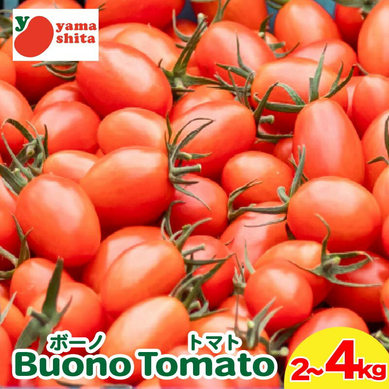ミニトマト ボーノトマト 2kg 4kg アイコ トマト フルーツトマト 農家直送 夏野菜 サラダ 先行予約 阿波市 徳島県