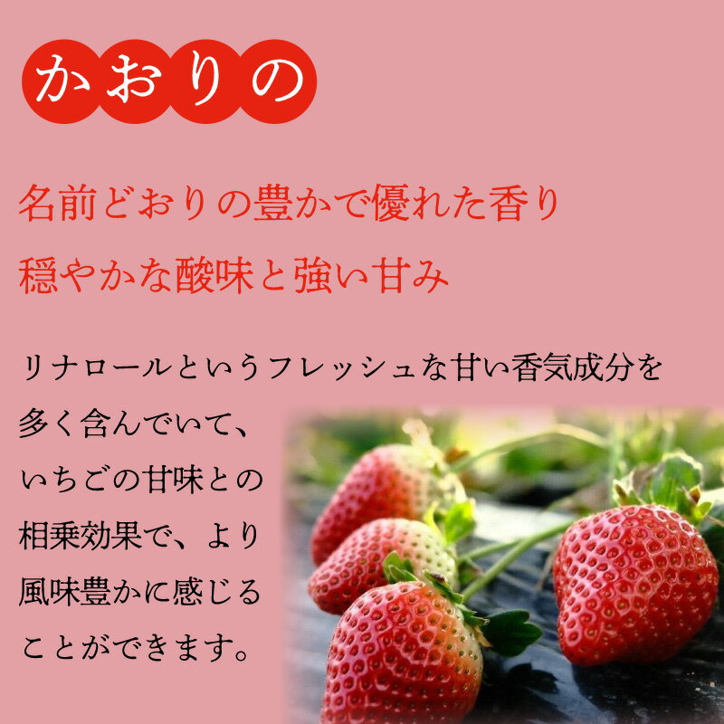 【ふるさと納税】 訳あり いちご やよいひめ かおりの 2種 選べる容量 計920g 1840g 苺 ストロベリー 先行予約 果物 フルーツ ケーキ ゼリー ジュース アイス シャーベット いちご大福 スイーツ デザート ジャム 不揃い 規格外 家庭用 甘い 人気 おすすめ お取り寄せ グルメ サムネイル3