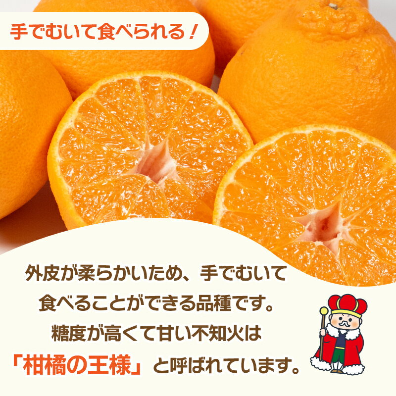 【ふるさと納税】 みかん 不知火 しらぬい 3kg みかん 柑橘 フルーツ ジャム ゼリー ジュース スムージー 露地栽培 徳島県 阿波市 半田農園 サムネイル3