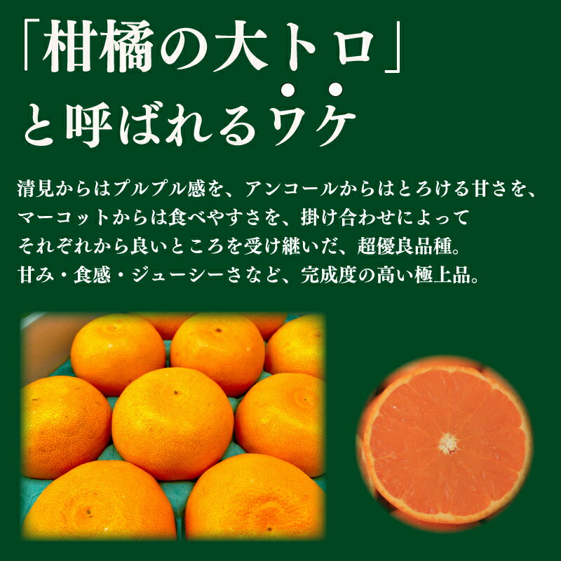 【ふるさと納税】 訳あり サイズ不揃い みかん せとか 3kg 柑橘の大トロ フルーツ 甘い ビタミン デザート ジュース 柑橘 贈り物 阿波市 徳島県 サムネイル3