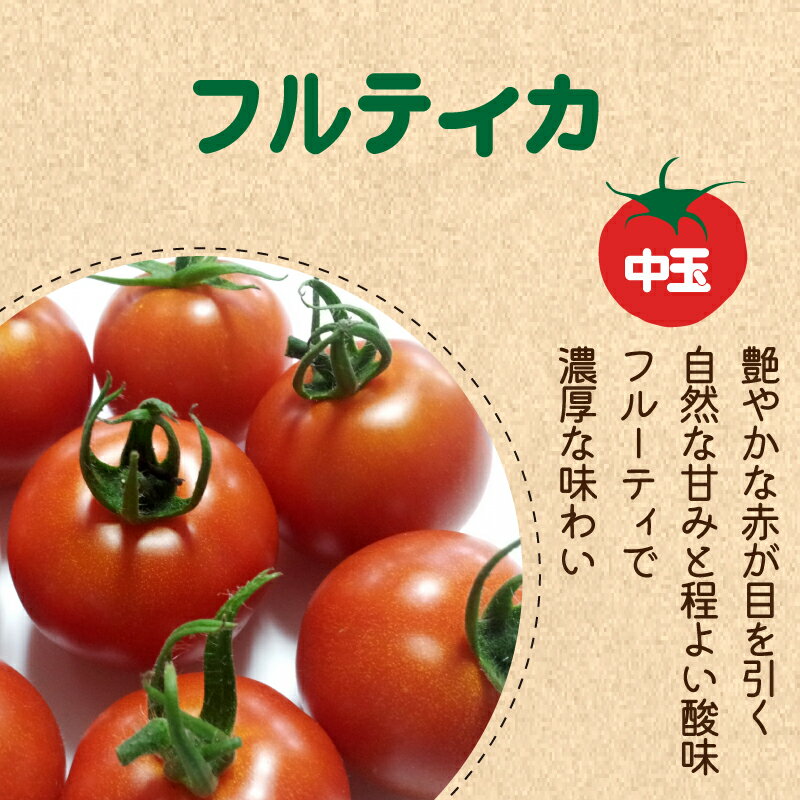 【ふるさと納税】 トマト ミニトマト 選べる容量 2kg 4kg 3種 食べ比べ セット 冷蔵 詰め合わせ 千果 フルティカ かれん 野菜 糖度 果物 パスタ スパゲティー ソース サラダ ドレッシング 鍋 サンドイッチ ギフト 贈答 お取り寄せ グルメ 送料無料 徳島県 阿波市 - 画像3