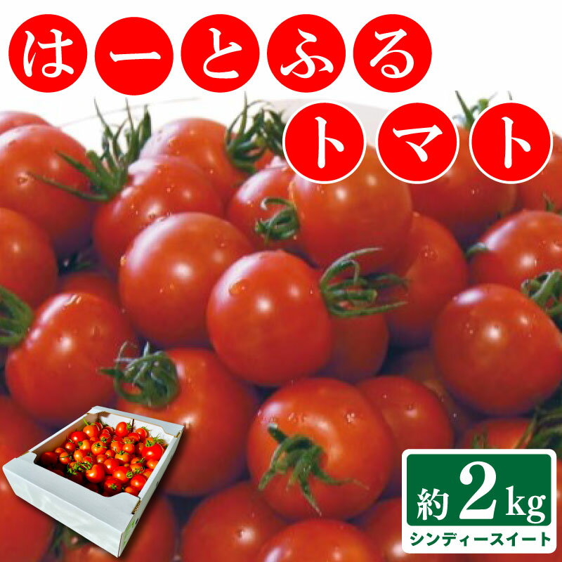 トマト 中玉 2kg シンディースイート はーとふるトマト 野菜 やさい トマト ミディトマト ジュース パスタ スパゲティー ソース サラダ ドレッシング サンドイッチ ハンバーガー ピザ GAP認証 ノウフクJAS お取り寄せ はーとふる川内株式会社 徳島県 阿波市