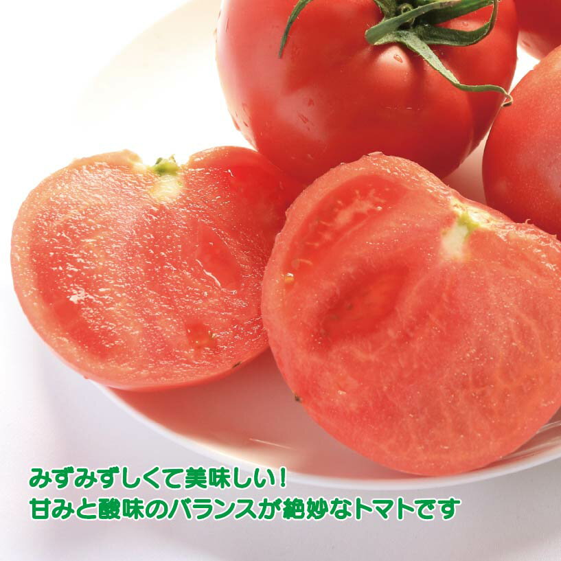 【ふるさと納税】 トマト 大玉 3kg 選べる 単品 定期便 トマトの国 《1月上旬から順次発送》 サラダ 野菜 やさい 果物 スイーツ ジュース パスタ スパゲティー ソース サラダ ドレッシング 鍋 サンドイッチ 贈答 ギフト お取り寄せ グルメ 送料無料 徳島県 阿波市 - 画像2