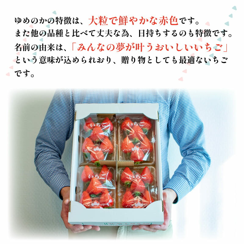 【ふるさと納税】 いちご ゆめのか 選べる容量 500g～1kg 苺 ストロベリー 果物 フルーツ デザート スイーツ ジュース ジャム アイス シャーベット スムージー ヨーグルト ギフト プレゼント 贈答 お取り寄せ グルメ 冷蔵 送料無料 阿波市 徳島県 佐藤農園 サムネイル2