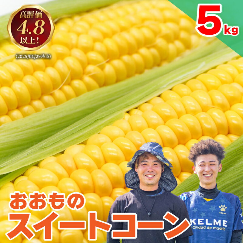 とうもろこし 5kg スイートコーン 甘い おおもの 朝どり 《 2026年6月中旬頃から順次発送 》 大粒 コーン サラダ 野菜 やさい 新鮮 サラダ 醤油 バター 砂糖 焼き肉 焼肉 バーベキュー BBQ キャンプ アウトドア スープ コーンスープ 先行予約 徳島県 阿波市