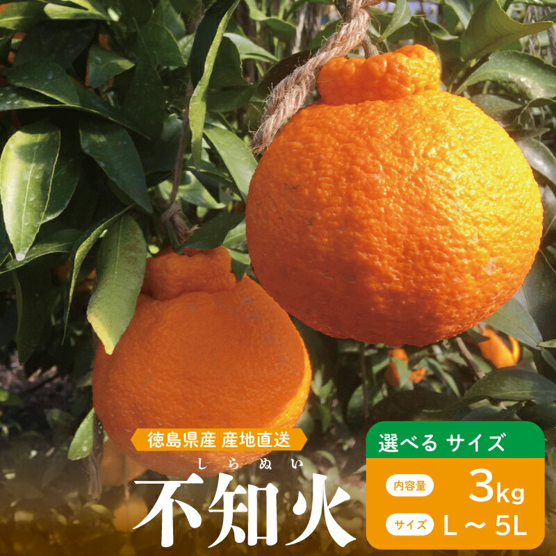 不知火 3kg 選べるサイズ L～5L 6玉～12玉 しらぬい みかん 蜜柑 果物 フルーツ 柑橘 オレンジ ゼリー ジュース アイス ケーキ デザート スイーツ ジャム 糖度 甘い ビタミン 美容 健康 送料無料 徳島県 阿波市 山中農園