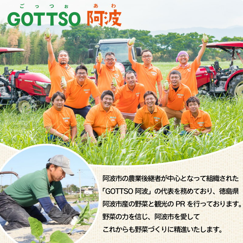 【ふるさと納税】 ブロッコリー 約2kg 野菜 やさい 国産 朝採れ 新鮮 旬 季節野菜 産地直送 鮮度抜群 サラダ スープ 味噌汁 鍋 シチュー カレー 和食 洋食 中華 栄養 ビタミン 美容 健康 冷蔵 お取り寄せ グルメ 送料無料 徳島県 阿波市 MONTAふぁ～む - 画像3