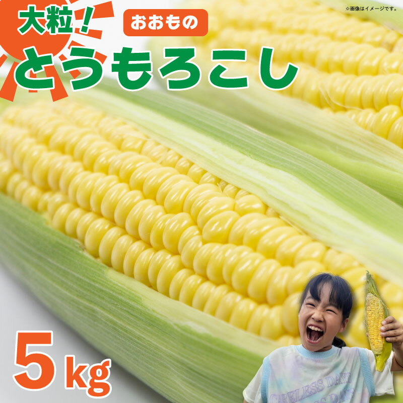 とうもろこし 5kg スイートコーン おおもの コーン 甘い 野菜 採れたて 夏野菜 ポタージュ スープ サラダ おやつ おかず 数量限定 朝採れ 高糖度 産地直送 期間限定 先行予約 新鮮 コーン 旬 サラダ 徳島県 阿波市
