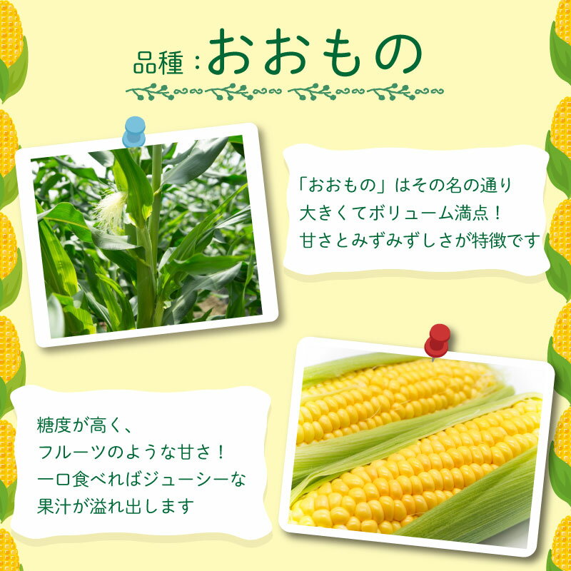 【ふるさと納税】 とうもろこし スイートコーン おおもの 約 5kg 《2026年6月から順次発送》 野菜 サラダ 新鮮 キャンプ バーベキュー 焼き肉 特産物 生産者直送 徳島県 阿波市 四国 - 画像2