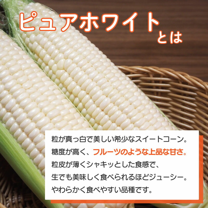 【ふるさと納税】 とうもろこし ホワイトコーン スイートコーン 約 5kg 《 2026年6月下旬～発送》野菜 ピュアホワイト 白い 甘い 夏野菜 高糖度 朝採れ 農家直送 生産者直送 新鮮 コーン サラダ ギフト 贈り物 お取り寄せ ご当地 特産物 徳島県 阿波市 四国 - 画像2