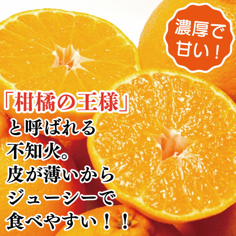 【ふるさと納税】 訳あり 不知火 2kg 3.8kg しらぬい みかん 蜜柑 果物 フルーツ 柑橘 オレンジ ゼリー ジュース アイス ケーキ デザート スイーツ ジャム 糖度 甘い 不揃い 規格外 ビタミン 美容 健康 送料無料 徳島県 阿波市 サトウ農園 サムネイル2