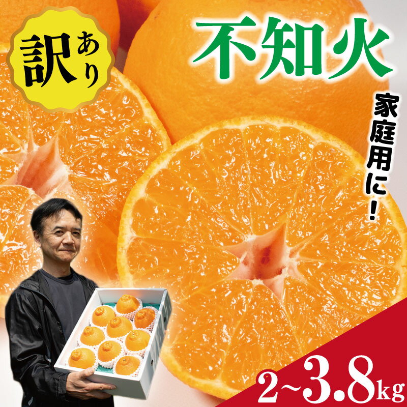 訳あり 不知火 2kg 3.8kg しらぬい みかん 蜜柑 果物 フルーツ 柑橘 オレンジ ゼリー ジュース アイス ケーキ デザート スイーツ ジャム 糖度 甘い 不揃い 規格外 ビタミン 美容 健康 送料無料 徳島県 阿波市 サトウ農園