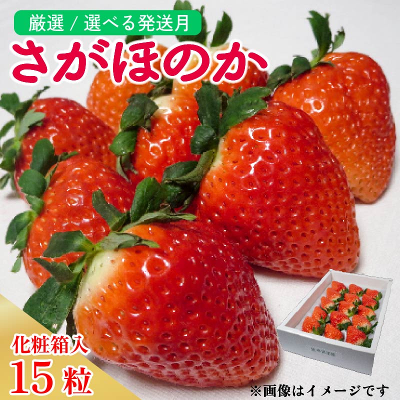 いちご 大粒 15粒 さがほのか 約420g 化粧箱 発送時期が選べる 2025年1月 2月 3月 発送 苺 ストロベリー 果物 フルーツ ケーキ フルーツサンド いちご大福 ジャム 甘い 人気 おすすめ お取り寄せ グルメ 贈答 ギフト 先行予約 徳島県 阿波市 春風果園