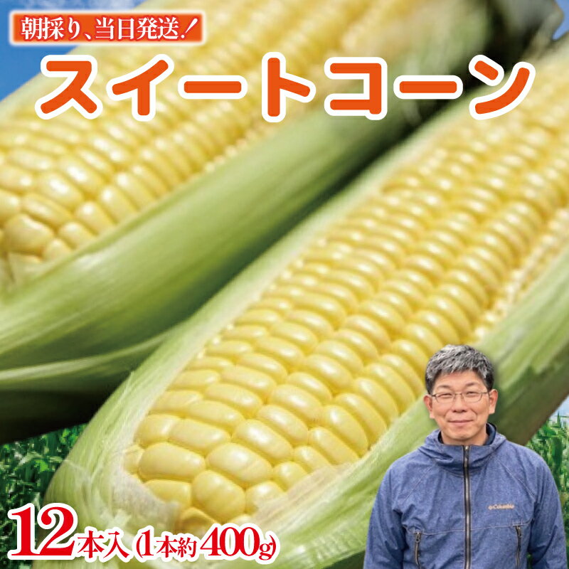 とうもろこし スイートコーン 12本入り 約5kg 品種 おおもの 《2026年6月から順次発送》 野菜 甘い 採れたて 産地直送 夏野菜 数量限定 朝採れ 農家直送 期間限定 新鮮 コーン 旬 サラダ 徳島県 阿波市
