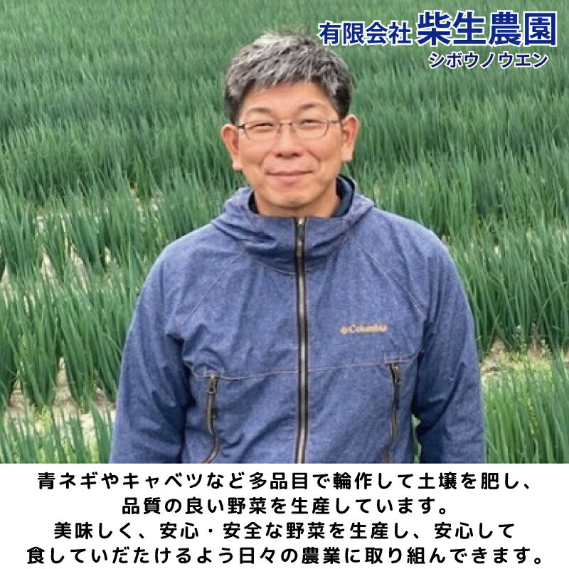 【ふるさと納税】 とうもろこし スイートコーン 12本入り 約5kg 品種 おおもの 《2026年6月から順次発送》 野菜 甘い 採れたて 産地直送 夏野菜 数量限定 朝採れ 農家直送 期間限定 新鮮 コーン 旬 サラダ 徳島県 阿波市 - 画像2