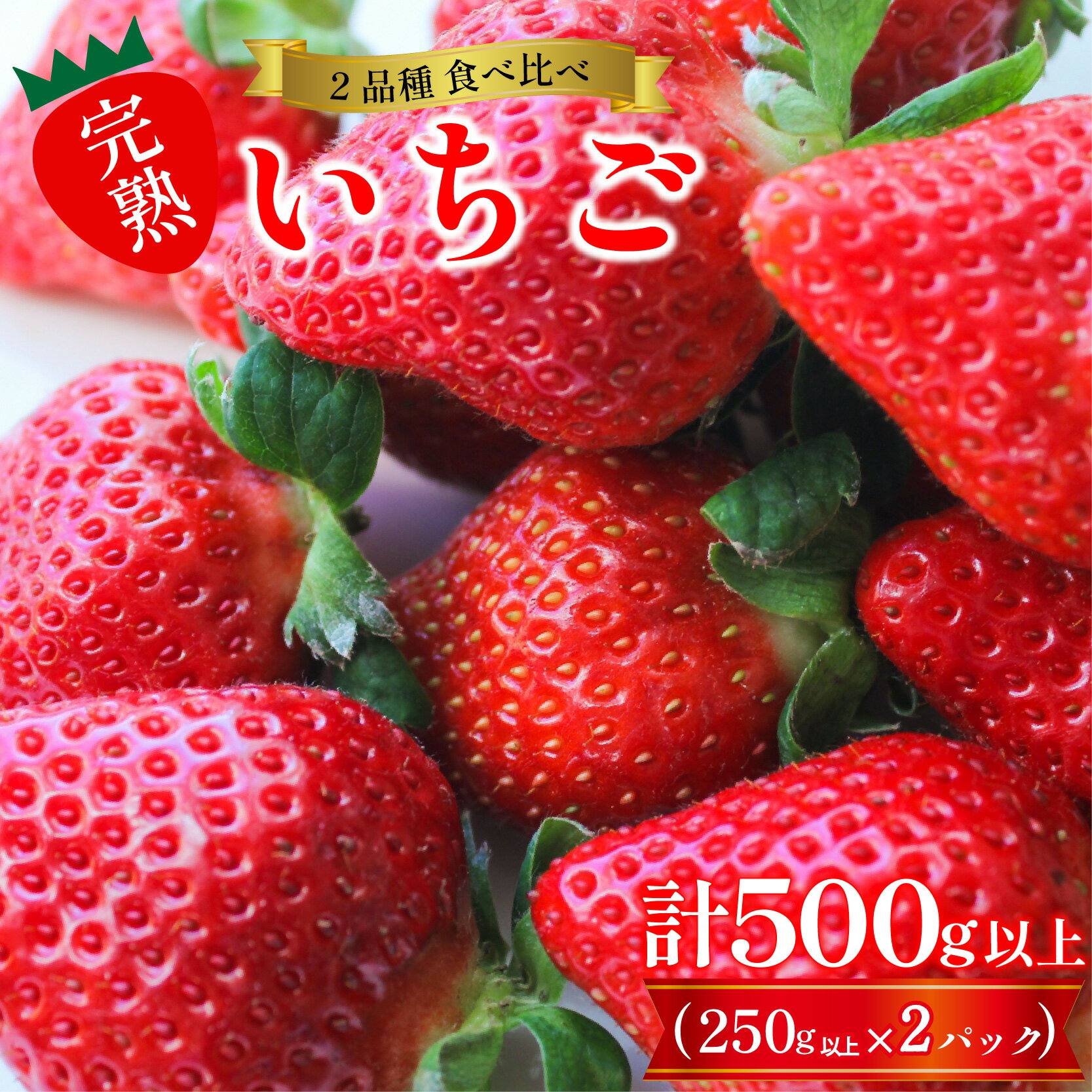 先行予約 訳あり いちご 食べ比べ 2品種 セット 計500g (250g×2パック) 完熟 苺 おいCベリー スターナイト ほしうらら やよいひめ さつまおとめ ストロベリー 苺大福 不揃い 規格外 家庭用 人気 オススメ お取り寄せ グルメ 徳島県 阿波市 よつぼし農園