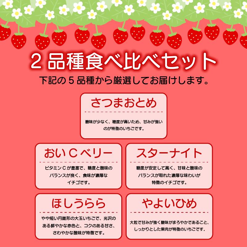 【ふるさと納税】 先行予約 訳あり いちご 食べ比べ 2品種 セット 計500g (250g×2パック) 完熟 苺 おいCベリー スターナイト ほしうらら やよいひめ さつまおとめ ストロベリー 苺大福 不揃い 規格外 家庭用 人気 オススメ お取り寄せ グルメ 徳島県 阿波市 よつぼし農園 サムネイル3