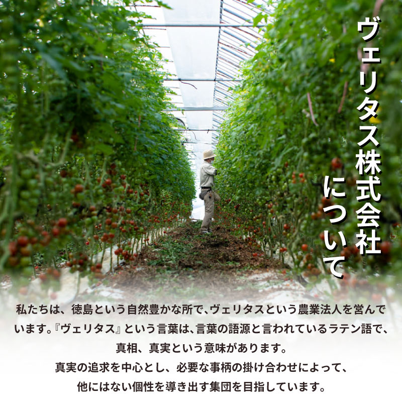 【ふるさと納税】 トマト 中玉 1.5kg 野菜 やさい トマト ジュース パスタ スパゲティー ソース サラダ ドレッシング サンドイッチ ハンバーガー ピザ カレー お取り寄せ グルメ 徳島県 阿波市 ヴェリタス株式会社 - 画像3