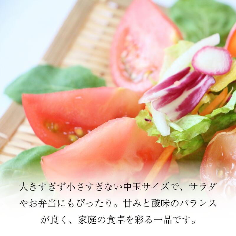 【ふるさと納税】 トマト 中玉 1.5kg 野菜 やさい トマト ジュース パスタ スパゲティー ソース サラダ ドレッシング サンドイッチ ハンバーガー ピザ カレー お取り寄せ グルメ 徳島県 阿波市 ヴェリタス株式会社 - 画像2