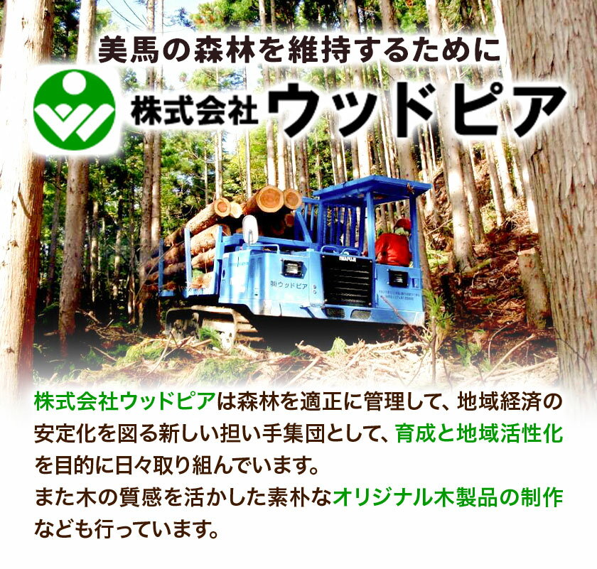 【ふるさと納税】木の名刺ケース(サクラ) 株式会社ウッドピア 《90日以内出荷(土日祝除く)》 名刺ケース 木製 桜 さくら 工芸品 送料無料 徳島県 美馬市 サムネイル3