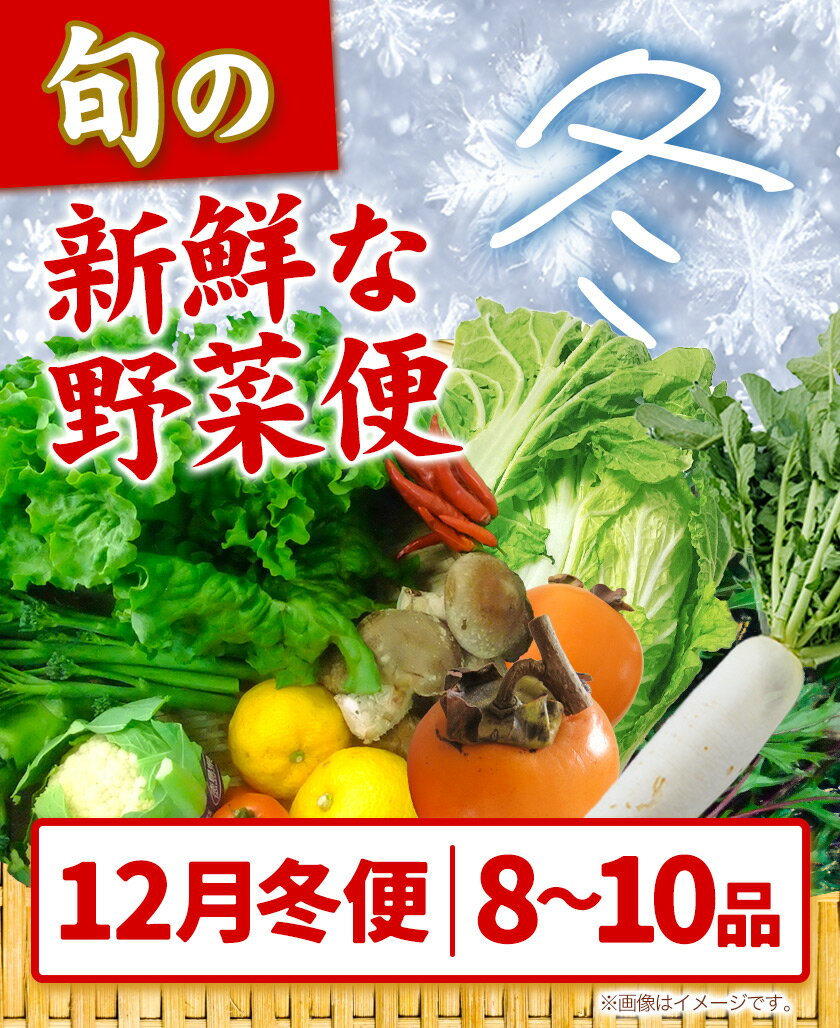 【ふるさと納税】＜先行予約＞ 旬の新鮮な野菜便 12月冬便 8〜10品 アグリサポート美馬《12月上旬-12月末頃出荷》徳島県 美馬市 冬野菜 白菜 かぶら キャベツ 愛宕柿 柚子玉 大根 里芋 玉葱 野菜 青果物 送料無料 - 画像2