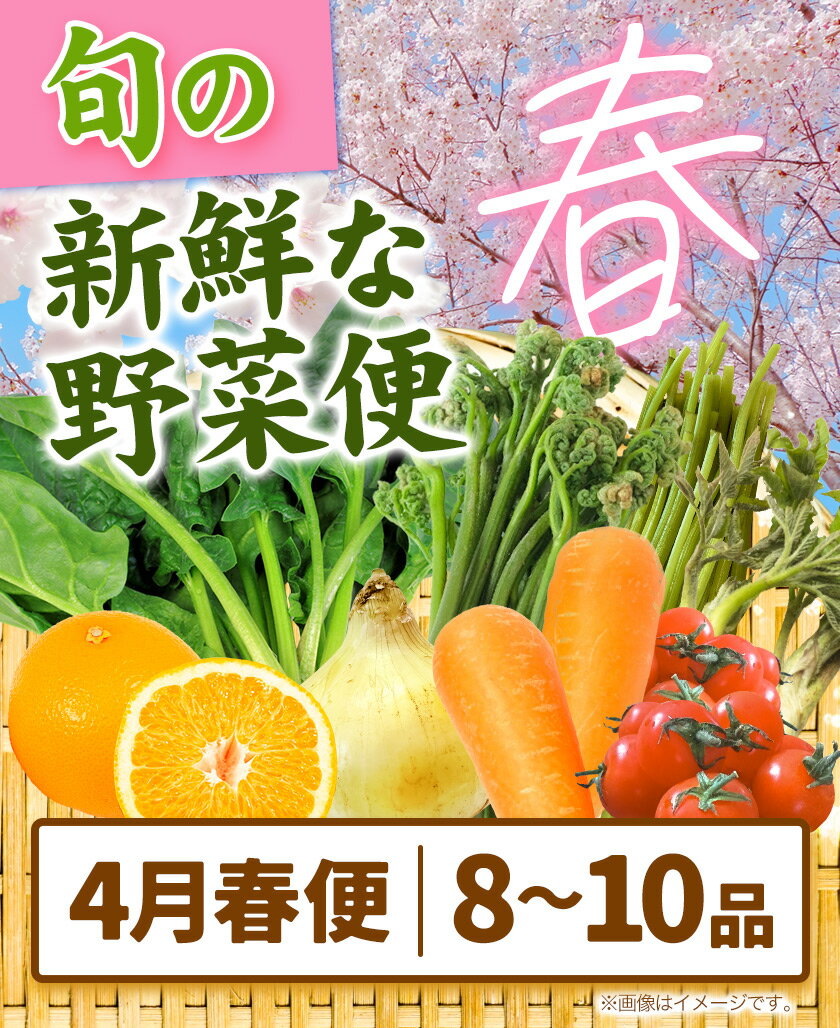 【ふるさと納税】＜先行予約＞旬の新鮮な 野菜便 4月春便 8〜10品 アグリサポート美馬《4月上旬-4月末頃出荷》春野菜 ふき わらび うど こしあぶら(山の山菜) 新玉ネギ ほうれん草 ミニトマト 人参 八朔 野菜 青果物 送料無料 徳島県 美馬市 - 画像2