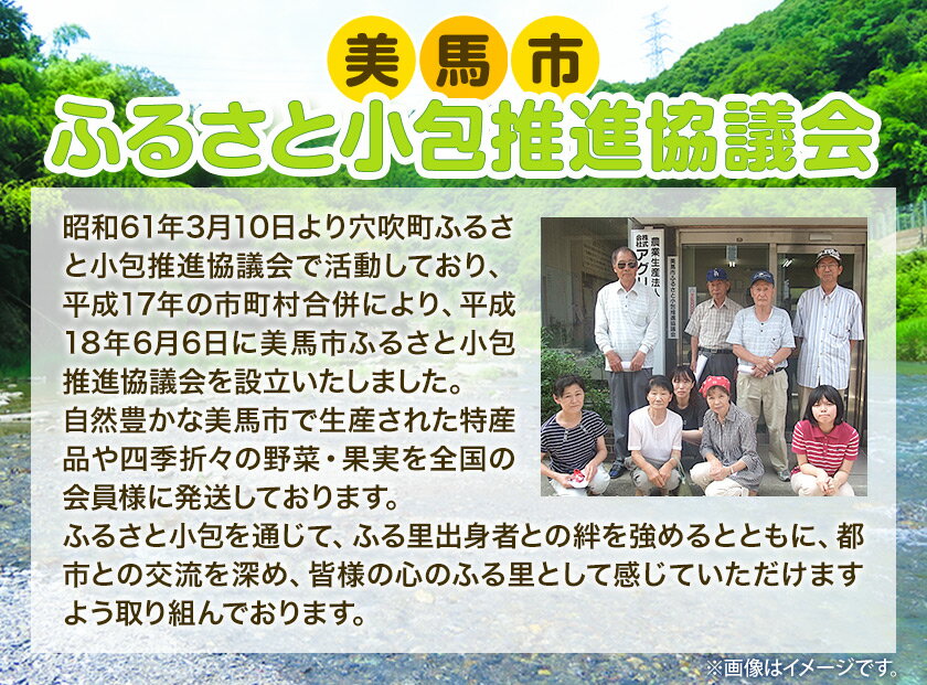 【ふるさと納税】＜先行予約＞ 旬の新鮮な野菜便 12月冬便 8〜10品 アグリサポート美馬《12月上旬-12月末頃出荷》徳島県 美馬市 冬野菜 白菜 かぶら キャベツ 愛宕柿 柚子玉 大根 里芋 玉葱 野菜 青果物 送料無料 - 画像3