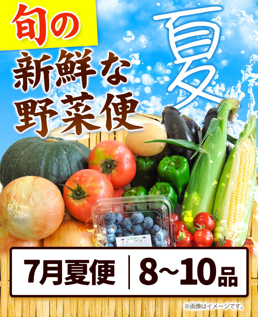 【ふるさと納税】＜先行予約＞ 旬の新鮮な 野菜便 7月夏便 8〜10品 アグリサポート美馬《7月上旬-7月末頃出荷》とうもろこし 夏野菜 じゃがいも きゅうり ブルーベリー キャベツ 茄子 玉ねぎ 豆 野菜 青果物 送料無料 徳島県 美馬市 - 画像2