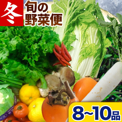 ＜先行予約＞ 旬の新鮮な野菜便 12月冬便 8〜10品 アグリサポート美馬《12月上旬-12月末頃出荷》徳島県 美馬市 冬野菜 白菜 かぶら キャベツ 愛宕柿 柚子玉 大根 里芋 玉葱 野菜 青果物 送料無料