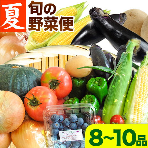 ＜先行予約＞ 旬の新鮮な 野菜便 7月夏便 8〜10品 アグリサポート美馬《7月上旬-7月末頃出荷》とうもろこし 夏野菜 じゃがいも きゅうり ブルーベリー キャベツ 茄子 玉ねぎ 豆 野菜 青果物 送料無料 徳島県 美馬市