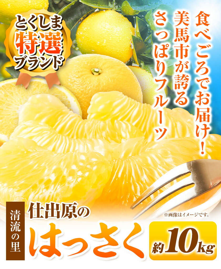 【ふるさと納税】＜ 先行予約 ＞ 八朔 はっさく 約10kg 仕出原八朔生産組合《2026年2月上旬‐2026月3月上旬頃出荷》| とくしま特選ブランド 徳島県 美馬市 サムネイル3