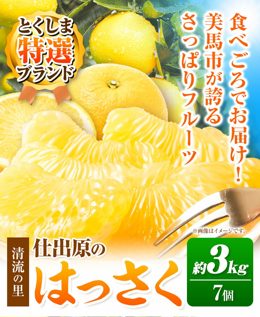【ふるさと納税】＜ 先行予約 ＞ 八朔 はっさく 約3kg 7個 仕出原八朔生産組合《2025年2月上旬‐2025月3月上旬頃出荷》| とくしま特選ブランド 徳島県 美馬市 サムネイル3