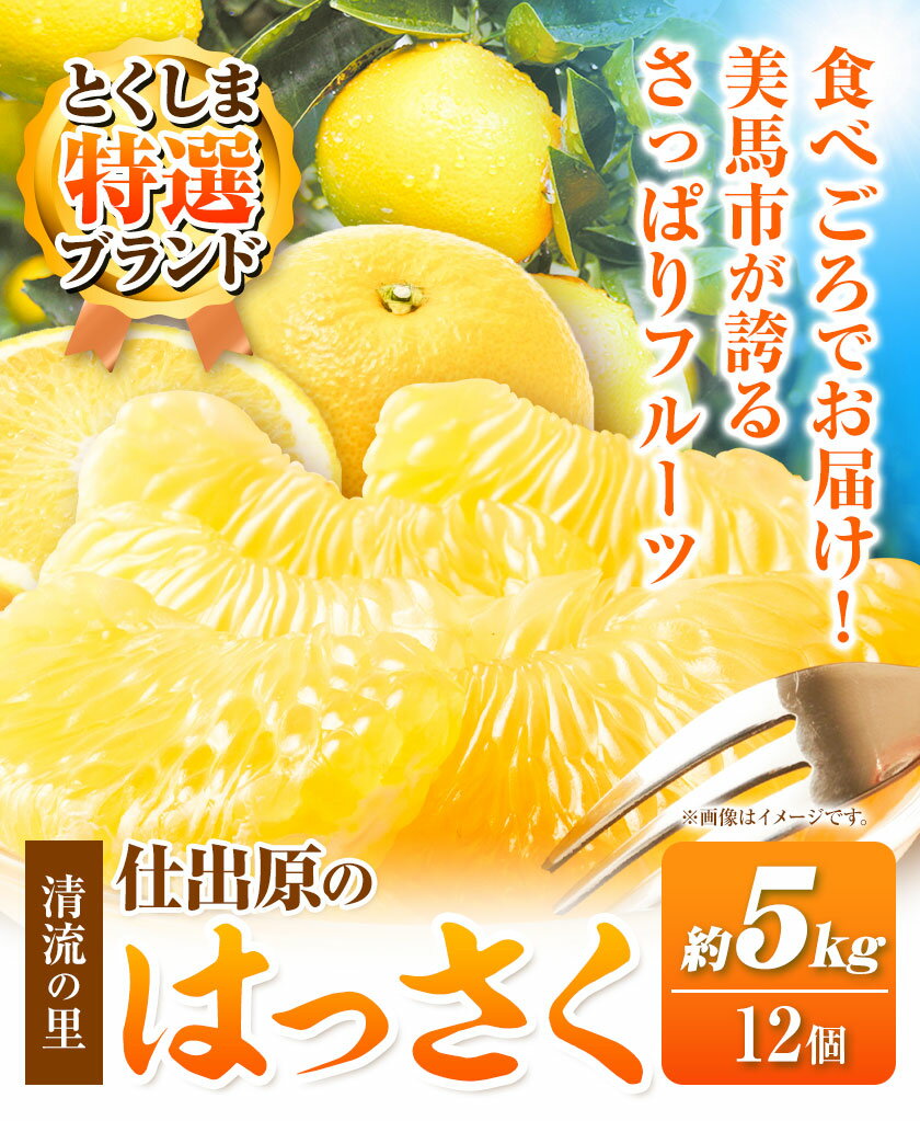 【ふるさと納税】＜ 先行予約 ＞ 八朔 はっさく 約5kg 12個 仕出原八朔生産組合《2026年2月上旬‐2026月3月上旬頃出荷》| とくしま特選ブランド 徳島県 美馬市 サムネイル3