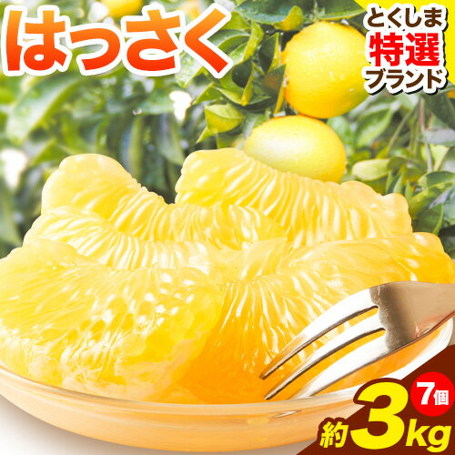 ＜ 先行予約 ＞ 八朔 はっさく 約3kg 7個 仕出原八朔生産組合《2025年2月上旬‐2025月3月上旬頃出荷》| とくしま特選ブランド 徳島県 美馬市