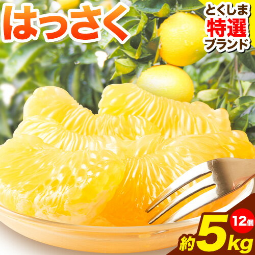 ＜ 先行予約 ＞ 八朔 はっさく 約5kg 12個 仕出原八朔生産組合《2026年2月上旬‐2026月3月上旬頃出荷》| とくしま特選ブランド 徳島県 美馬市
