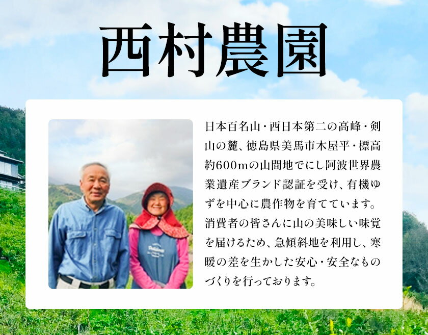 【ふるさと納税】とんがらし 4袋 約20g×4袋 西村農園《30日以内に出荷予定(土日祝除く)》徳島県 美馬市 青果物 野菜 唐辛子 とうがらし - 画像3