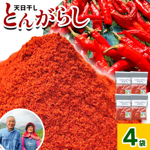 とんがらし 4袋 約20g×4袋 西村農園《30日以内に出荷予定(土日祝除く)》徳島県 美馬市 青果物 野菜 唐辛子 とうがらし
