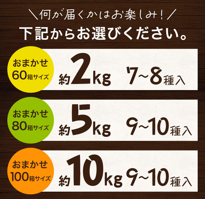 【ふるさと納税】野菜 詰め合わせ セット 旬の野菜セット おまかせ 野菜便 選べる容量 約2kg 約5kg 約10kg ここちゃん農園 《30日以内に出荷予定(土日祝除く)》徳島県 美馬市 送料無料 野菜類 お野菜セット 白菜 大根 にんじん ルッコラ ネギ ほうれん草 黒キャベツ - 画像3