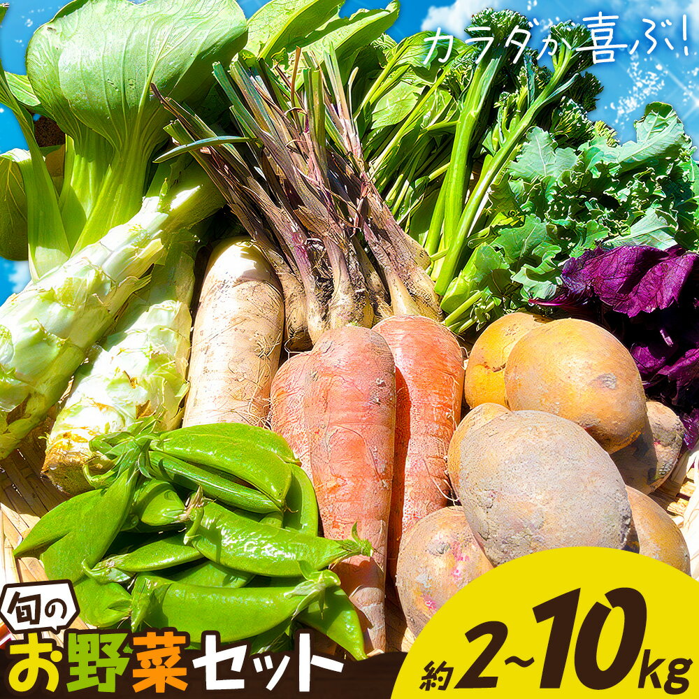 野菜 詰め合わせ セット 旬の野菜セット おまかせ 野菜便 選べる容量 約2kg 約5kg 約10kg ここちゃん農園 《30日以内に出荷予定(土日祝除く)》徳島県 美馬市 送料無料 野菜類 お野菜セット 白菜 大根 にんじん ルッコラ ネギ ほうれん草 黒キャベツ