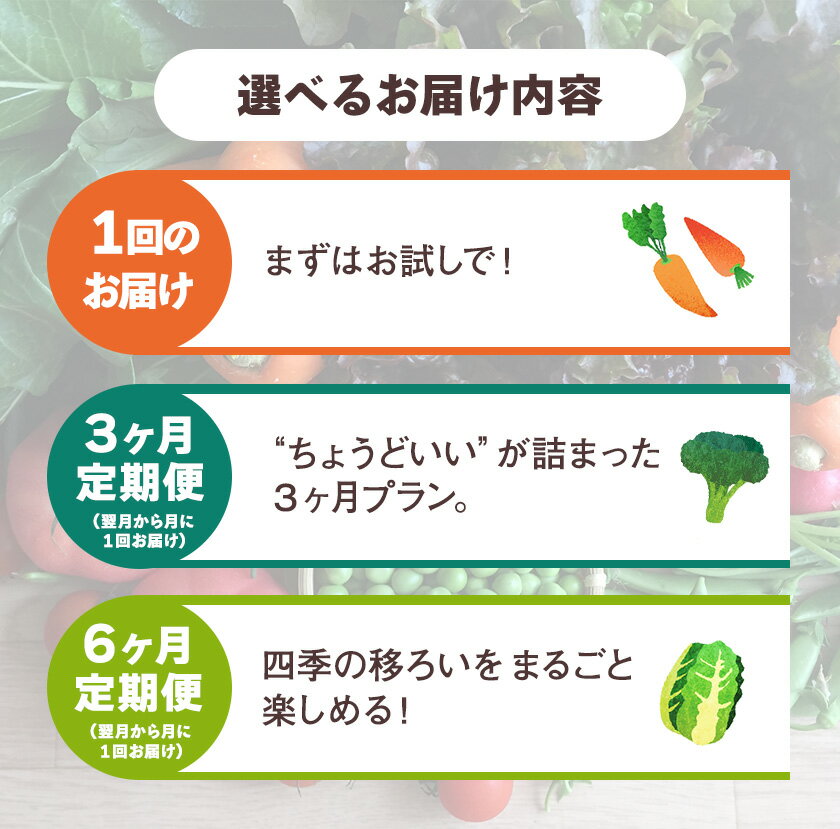 【ふるさと納税】野菜 詰め合わせ セット 旬の野菜セット おまかせ 野菜便 む〜む農園 《30日以内に出荷予定(土日祝除く)》徳島県 美馬市 送料無料 野菜類 お野菜セット ナス じゃがいも ブロッコリー とうもろこし 枝豆 菜の花 芽キャベツ - 画像3