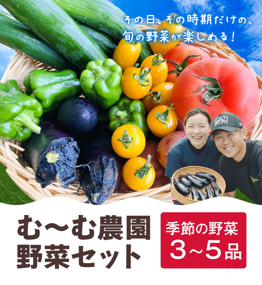 【ふるさと納税】野菜 詰め合わせ セット 旬の野菜セット おまかせ 野菜便 む〜む農園 《30日以内に出荷予定(土日祝除く)》徳島県 美馬市 送料無料 野菜類 お野菜セット ナス じゃがいも ブロッコリー とうもろこし 枝豆 菜の花 芽キャベツ - 画像2