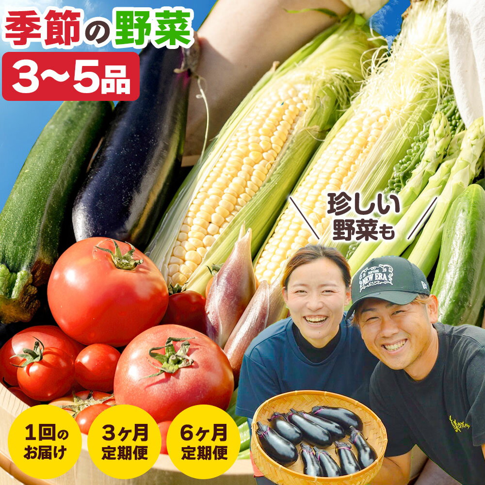 野菜 詰め合わせ セット 旬の野菜セット おまかせ 野菜便 む〜む農園 《30日以内に出荷予定(土日祝除く)》徳島県 美馬市 送料無料 野菜類 お野菜セット ナス じゃがいも ブロッコリー とうもろこし 枝豆 菜の花 芽キャベツ