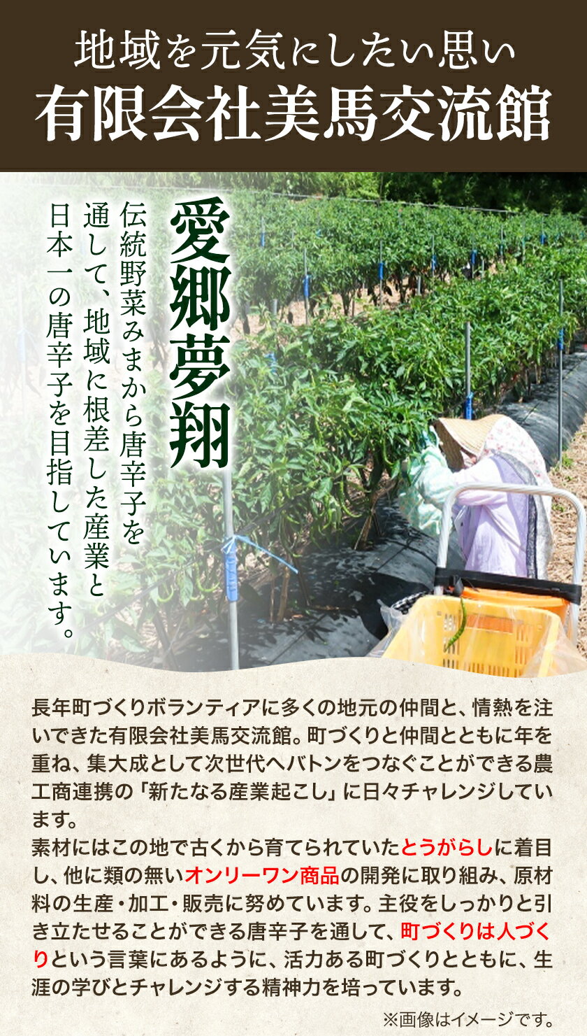 【ふるさと納税】激辛薬味みまからミニ5個セット 20g×5個 有限会社美馬交流館《30日以内に出荷》| ふるさと納税 調味料 薬味 ご当地グルメ ご当地食材 名物 徳島県 美馬市 みまから ミニサイズ お試し 送料無料 - 画像3