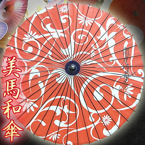 美馬和傘 デザイン日傘 草木 限定1本 假屋崎省吾さんデザイン 美馬和傘製作集団《30日以内に出荷予定(土日祝除く)》徳島県 美馬市 デザイン日傘 日傘 和傘 傘 送料無料