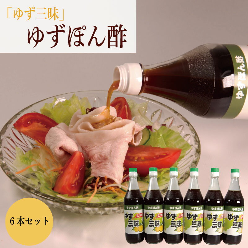 ゆず ぽん酢 柚子 ポン酢 500ml 6本 果汁 柑橘 みかん 鍋 刺身 サラダ 豆腐 肉 調味料 健康 名物 母の日 父の日 贈り物 ギフト 贈答 プレゼント 徳島県 三好市 みよし miyoshi