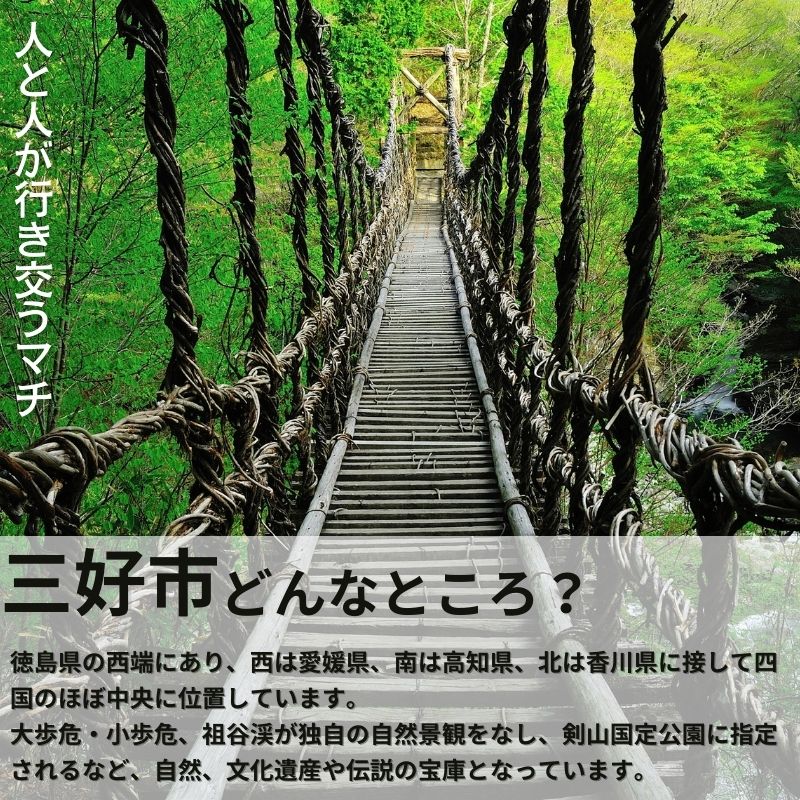 【ふるさと納税】 いちご狩り 徳島県 旅行 クーポン 体験チケット 選べる お一人様 ペア 2人 いちご イチゴ 苺 ストロベリー 大福づくり あり なし 家族 夏休み 農園 旅行 観光 いちご大福 いちごはうす 民宿 農家民宿 フルーツ狩り 恋みのり 果物 徳島 三好 みよし サムネイル2
